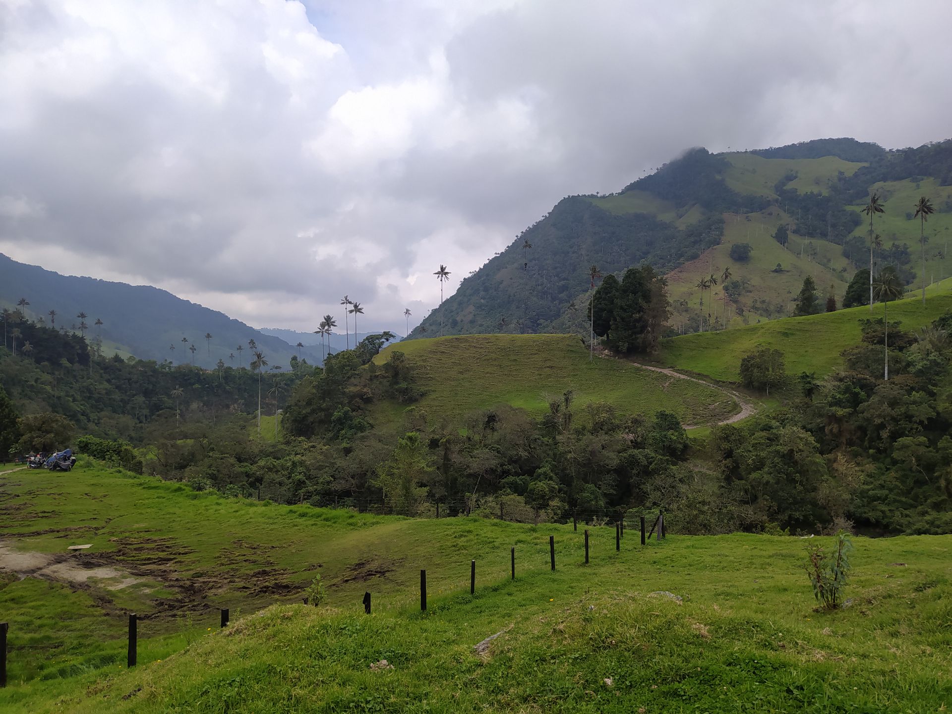 Adrian Lopera-Valle